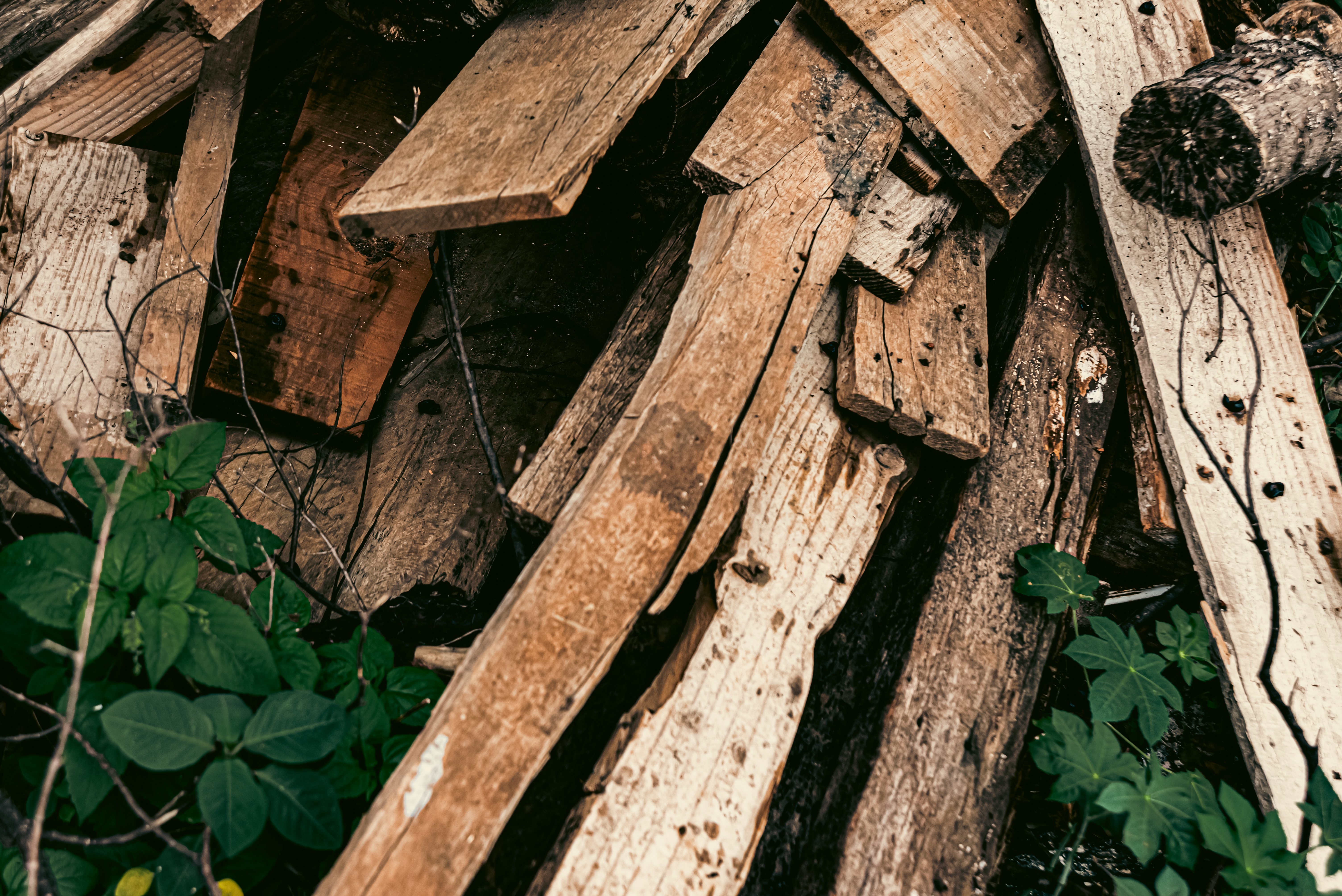 Photo of wood texture pattern